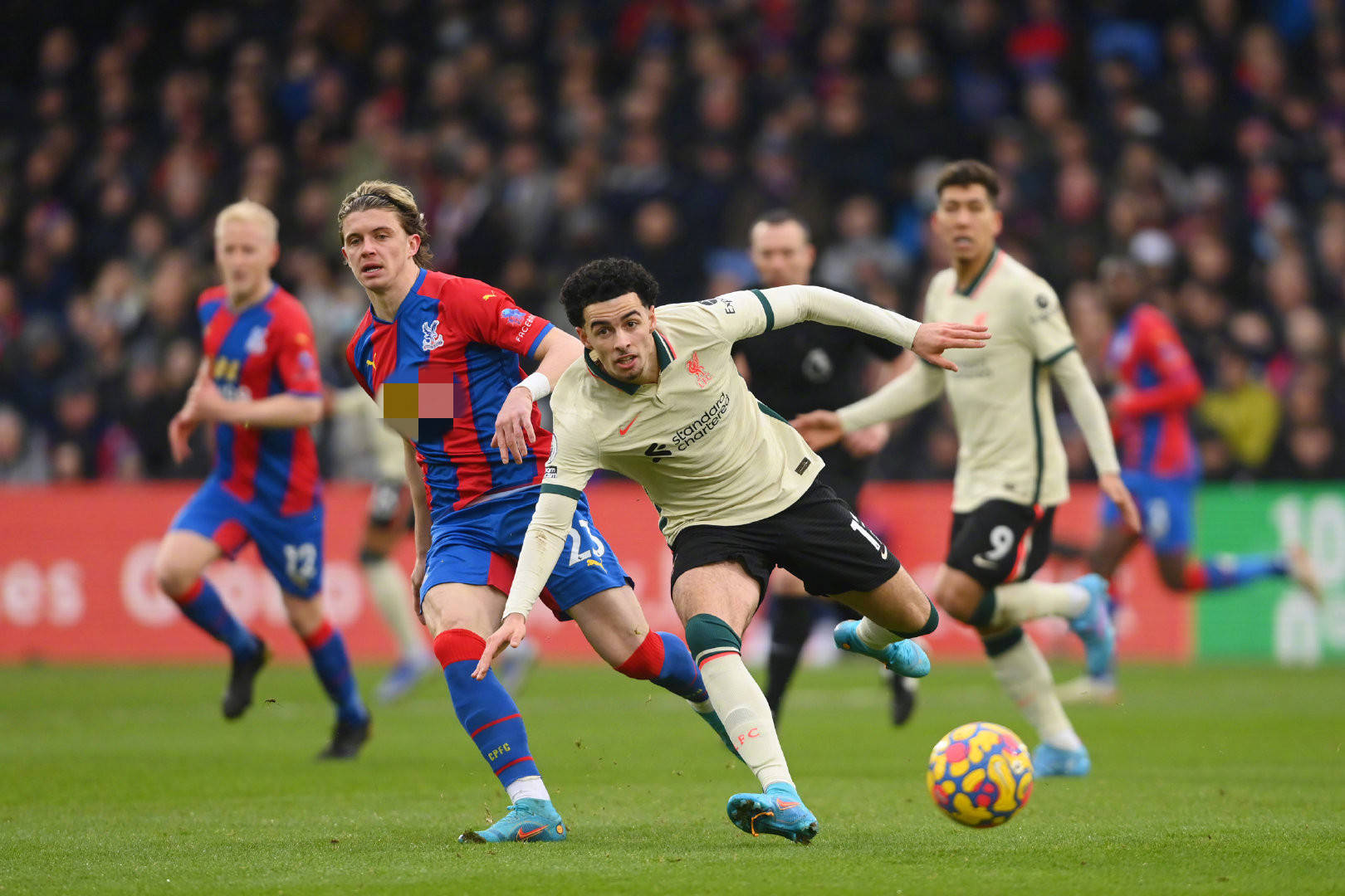 这项能力要 这项能力要